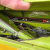 m-0036 (10).png